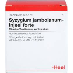 Syzygium Jambolanum Injeel forte Ampullen 10 St