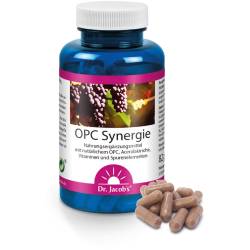 Opc Synergie Dr.Jacob's Kapseln 120 St