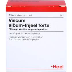 Viscum Album Injeel forte Ampullen 10 St