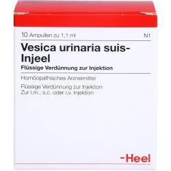 Vesica Urinaria suis-Injeel Ampullen 10 St