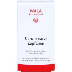 Carum Carvi Zäpfchen 20 g