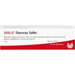 Quercus Salbe 30 g