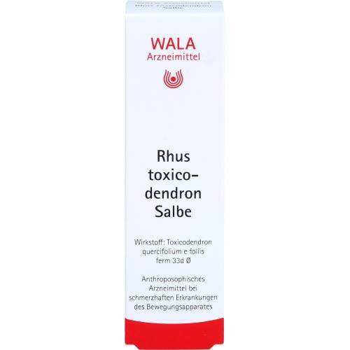 Rhus Toxicodendron Salbe 30 g