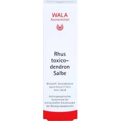 Rhus Toxicodendron Salbe 30 g