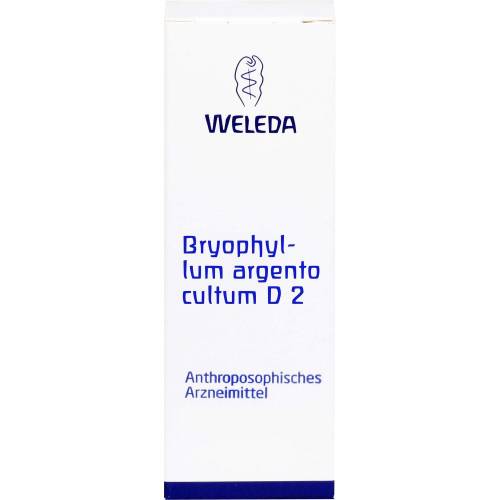 Bryophyllum Argento cultum D 2 Dilution 50 ml
