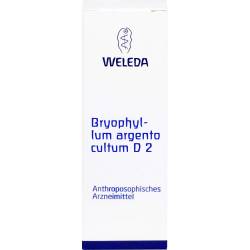 Bryophyllum Argento cultum D 2 Dilution 50 ml