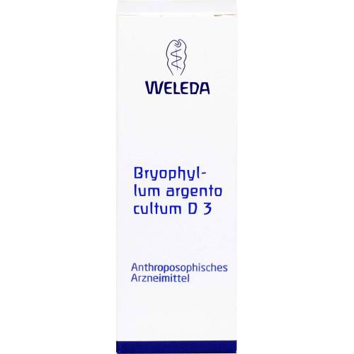 Bryophyllum Argento cultum D 3 Dilution 50 ml