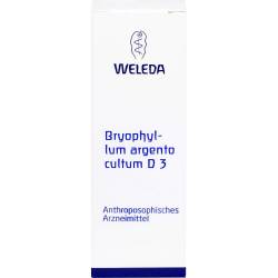 Bryophyllum Argento cultum D 3 Dilution 50 ml