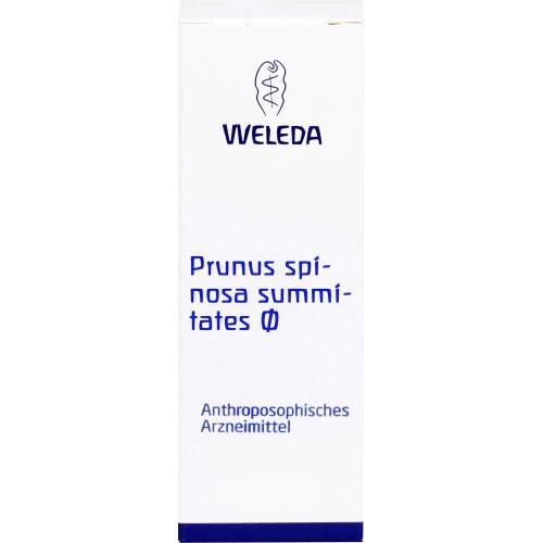 Prunus Spinosa Summitates Urtinktur 50 ml