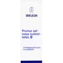Prunus Spinosa Summitates Urtinktur 50 ml