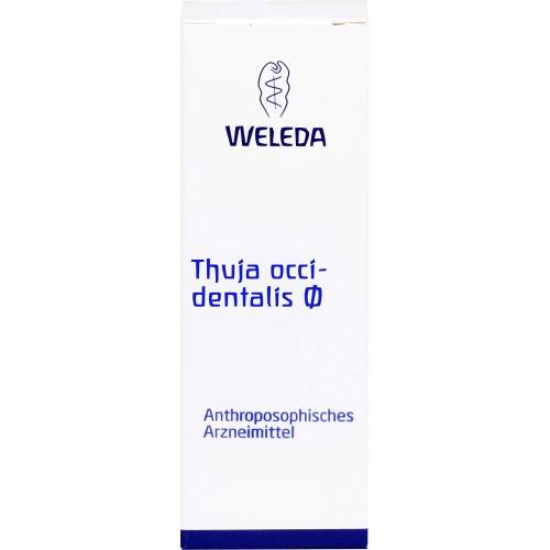 Thuja Occidentalis Urtinktur 20 ml