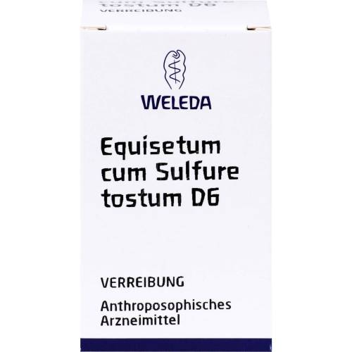 Equisetum Cum Sulfure tostum D 6 Trituration 20 g