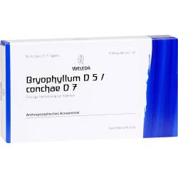 Bryophyllum D 5/Conchae D 7 Ampullen 8 ml