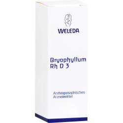 Bryophyllum Rh D 3 Dilution 20 ml