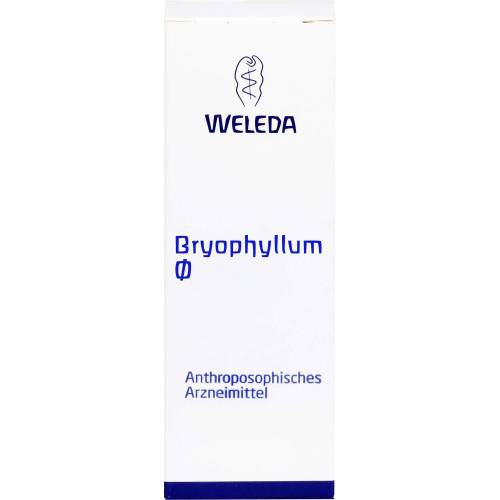 Bryophyllum Urtinktur 50 ml