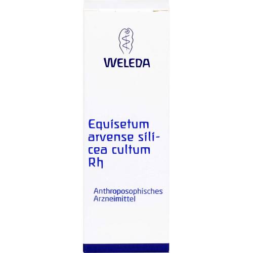 Equisetum Arvense Silicea cultum Rh D 3 Dilution 20 ml