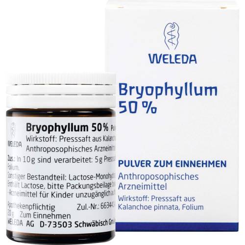 Bryophyllum 50% Pulver zum Einnehmen 50 g