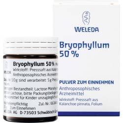 Bryophyllum 50% Pulver zum Einnehmen 50 g