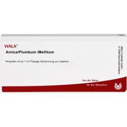Arnica/Plumbum /Mellitum Ampullen 10 ml