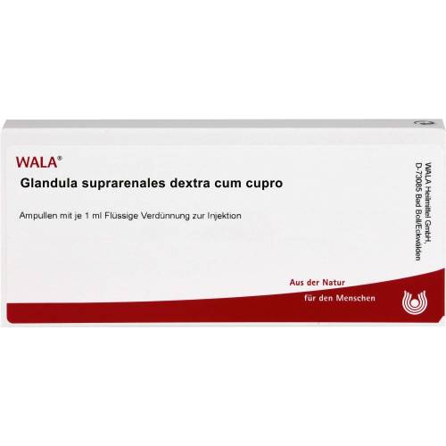 Glandula Suprarenales dextra cum Cupro Ampullen 10 ml