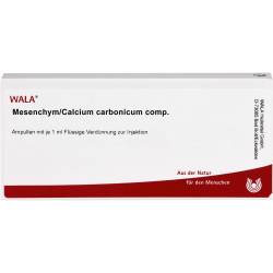 Mesenchym/Calcium carbonicum comp.Ampullen 10 ml