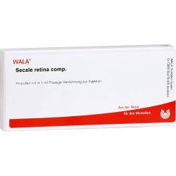 Secale Retina comp.Ampullen 10 ml