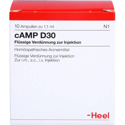 Camp D 30 Ampullen 10 St