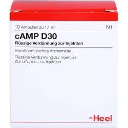 Camp D 30 Ampullen 10 St