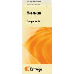 Synergon Komplex 9b Mezereum Tropfen 50 ml