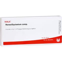 Renes/Equisetum comp.Ampullen 10 ml