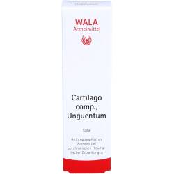 Cartilago comp Unguentum 30 g