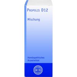 Propolis D 12 Dilution 20 ml