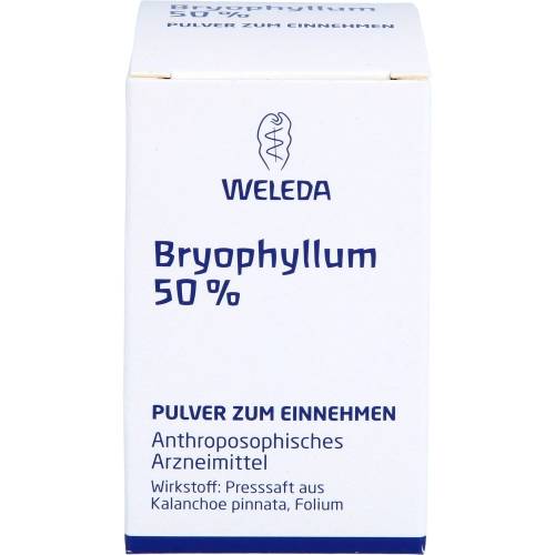Bryophyllum 50% Pulver zum Einnehmen 20 g