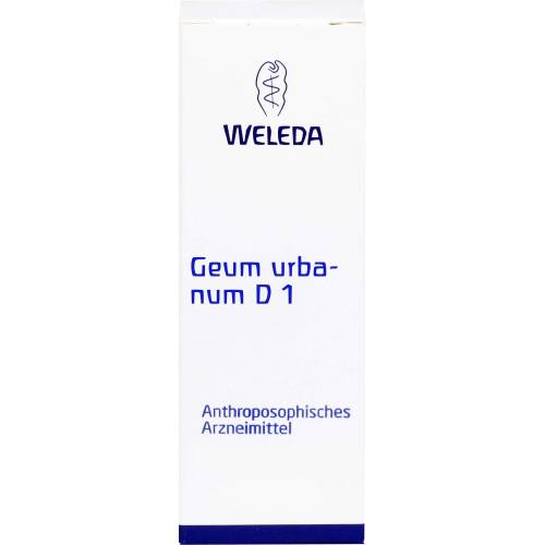 Geum Urbanum D 1 Dilution 50 ml