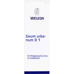 Geum Urbanum D 1 Dilution 50 ml