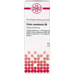 Cistus Canadensis D 6 Dilution 20 ml