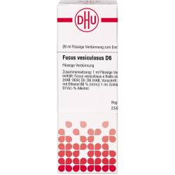 Fucus Vesiculosus D 6 Dilution 20 ml