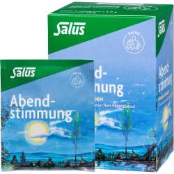 Abendstimmung Kräutertee Salus Filterbeutel 15 St