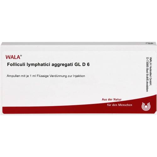 Folliculi Lymphatici aggregati Gl D 6 Ampullen 10 ml