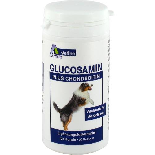 Glucosamin+Chondroitin Kapseln für Hunde 60 St