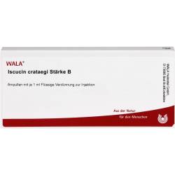 Iscucin crataegi Stärke B Ampullen 10 ml