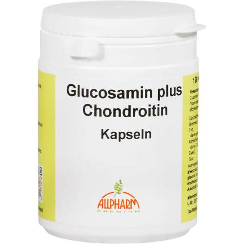 Glucosamin+Chondroitin Kapseln 120 St