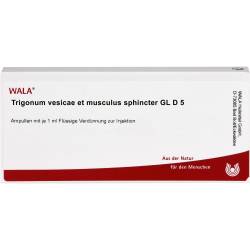 Trigonum vesicae et Musculus sphincter Gl D 5 Amp. 10 ml