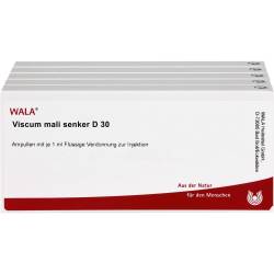 Viscum Mali Senker D 30 Ampullen 50 ml