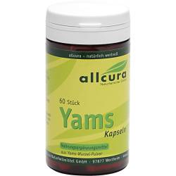 Yams Kapseln 250 mg Yamspulver 60 St