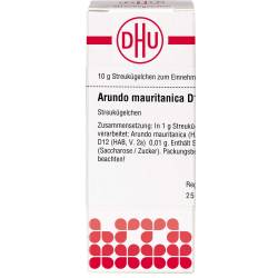 Arundo mauritanica D 12 Globuli 10 g