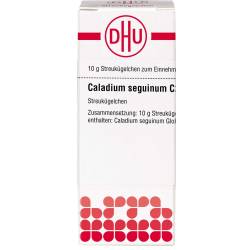 Caladium seguinum C 200 Globuli 10 g