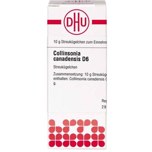 Collinsonia Canadensis D 6 Globuli 10 g