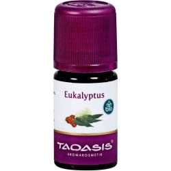 Eukalyptus Öl Bio 5 ml