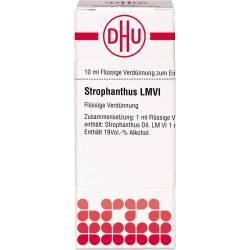 Strophanthus Lm Vi Dilution 10 ml